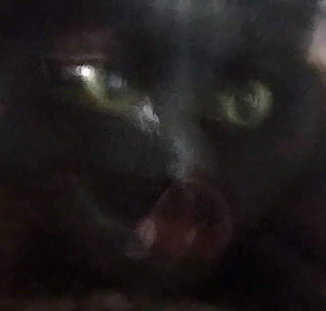 Void